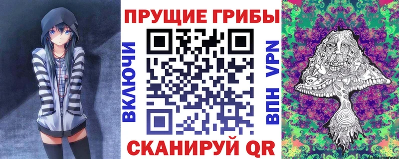 закладки  Бирюч  Галлюциногенные грибы Psilocybine cubensis 